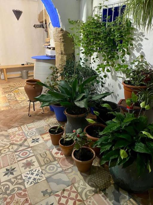 Apartamento La Fuente 16 Vivienda Rural Vejer de la Frontera